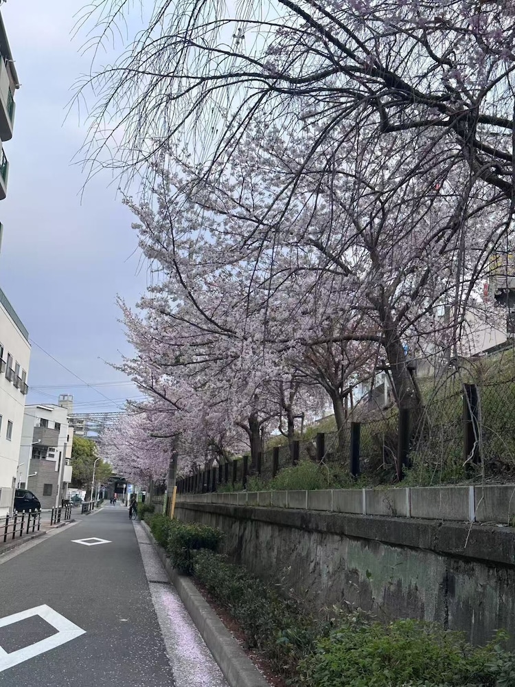 Tabi Time Kishinosato Miyama