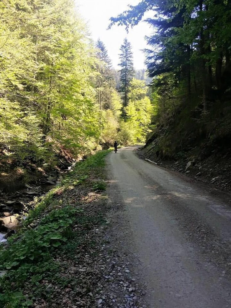 Photo 34