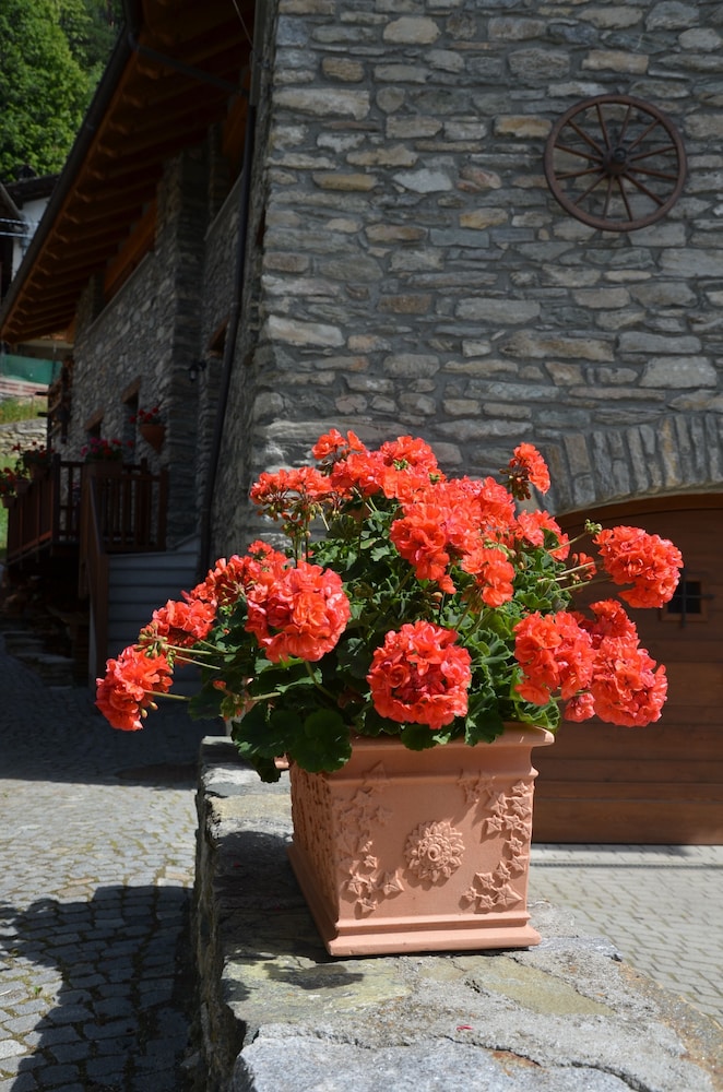 Appartamento Con Giardino view 5