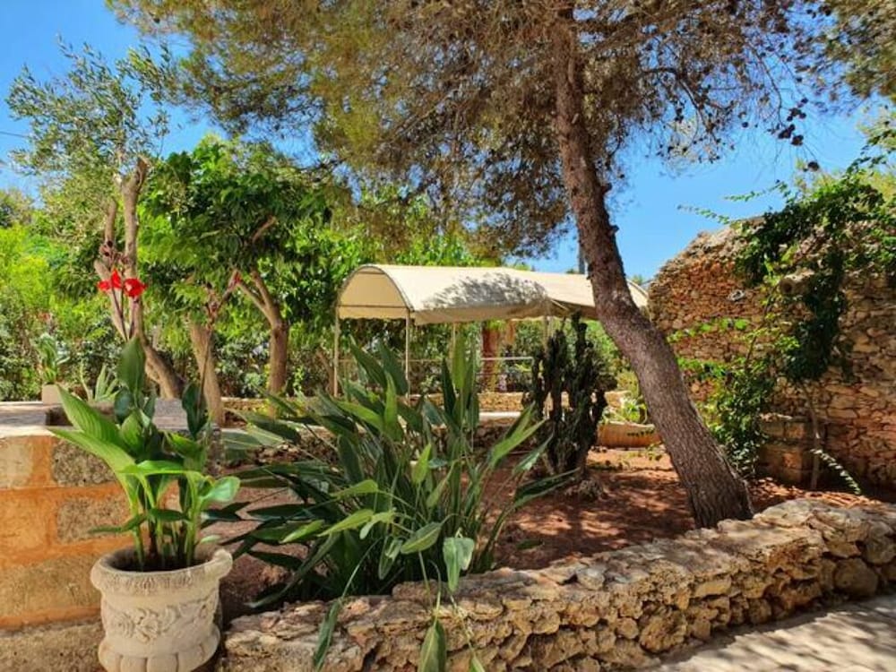 Photo 47