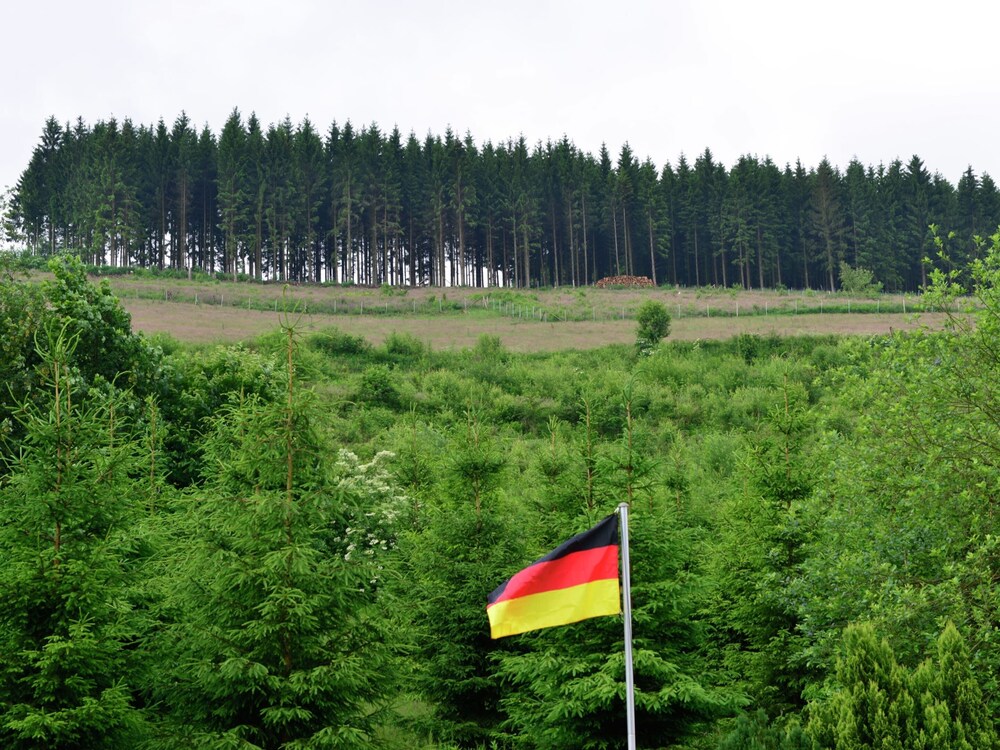 Photo 25