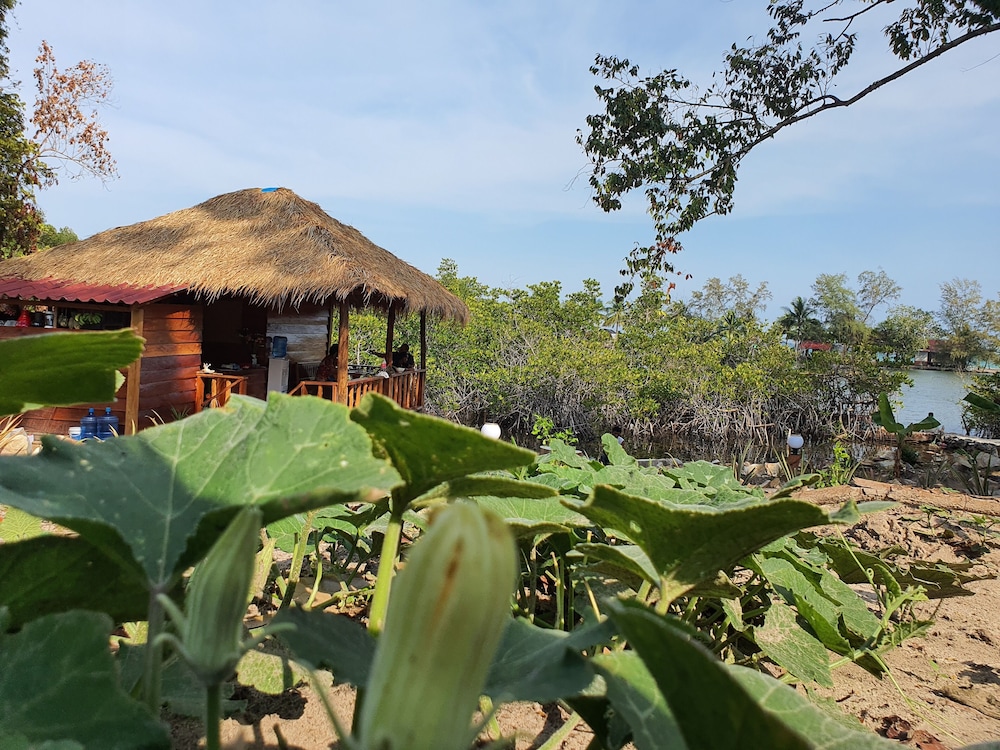 4k Camp Koh Rong view 2