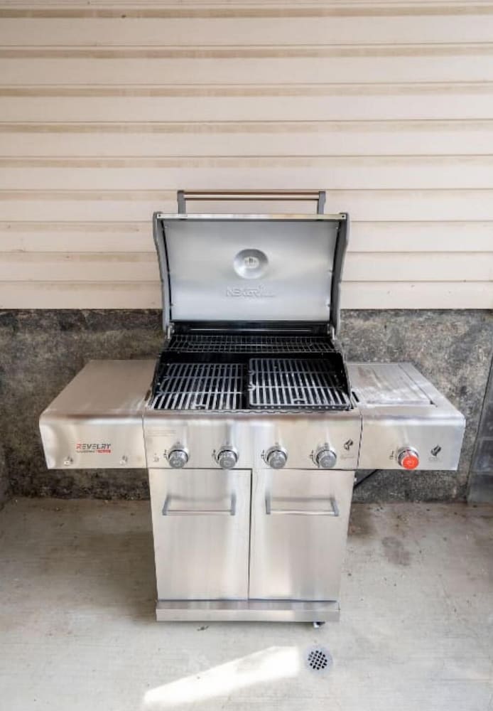 Dino Roar No Service Fees Patio BBQ