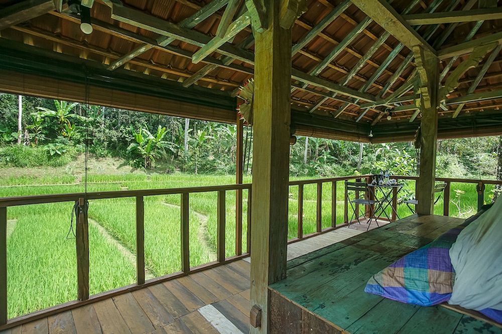 Tepi Sawah Lodge
