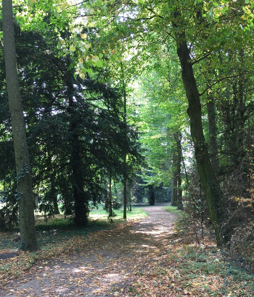 Tenuta il Palazzasso