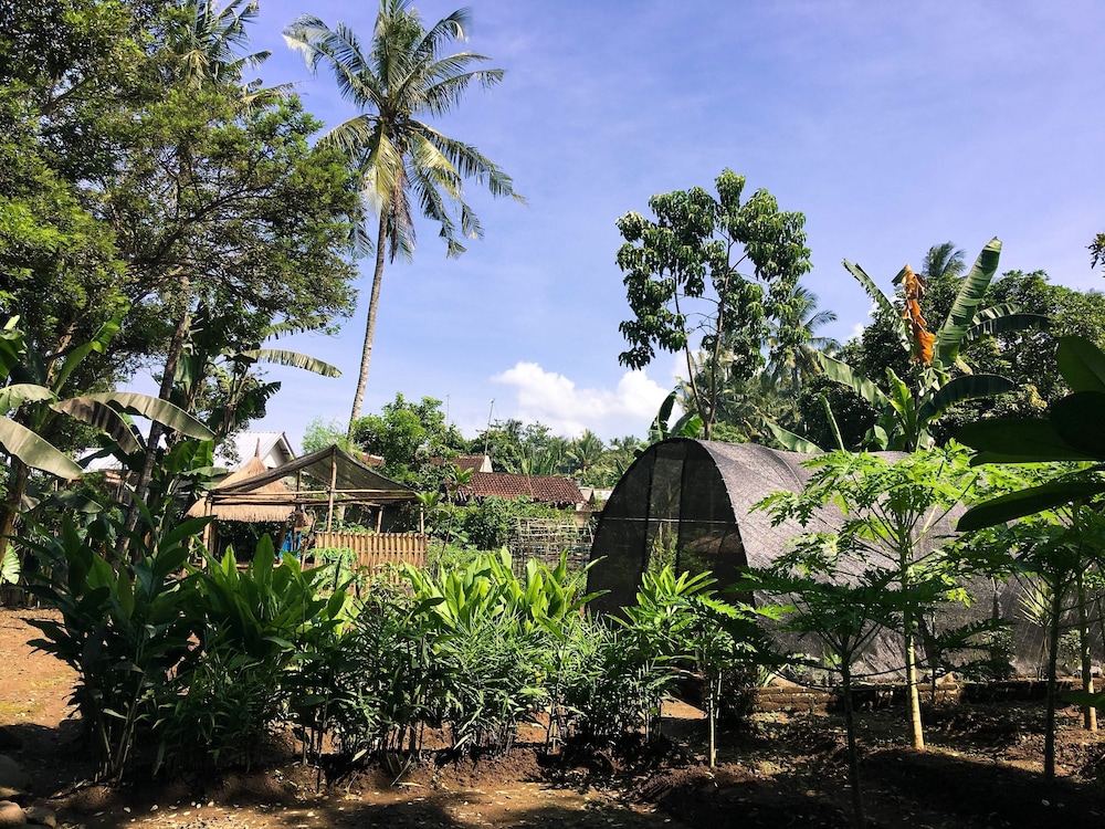 White Orchid Eco Resort