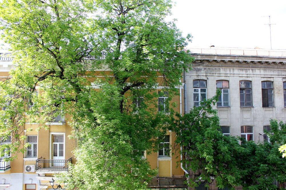 Photo 53