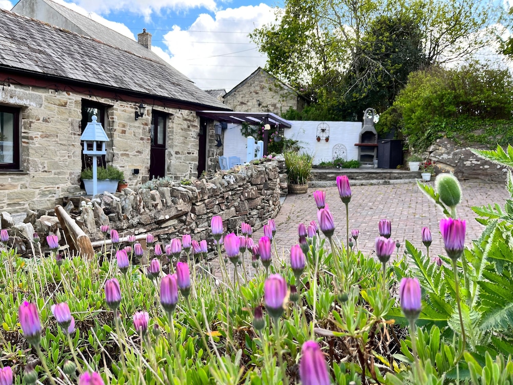 Swift Cottage
