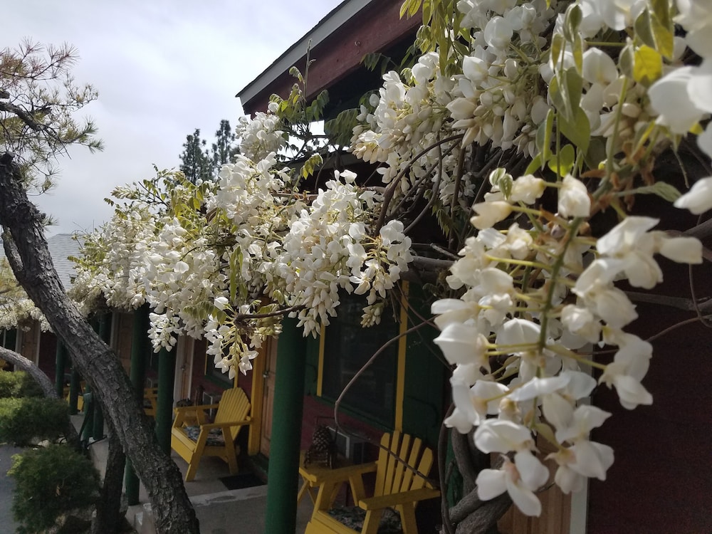 Idyllwild Bunkhouse