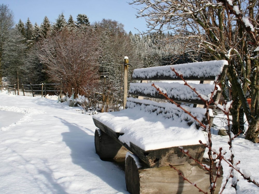 Apartment in Dachsberg-urberg view 5