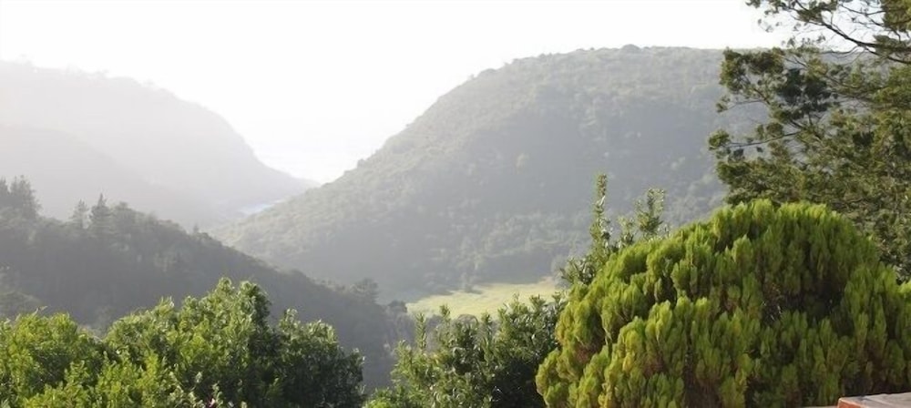 Carmel Guest Farm