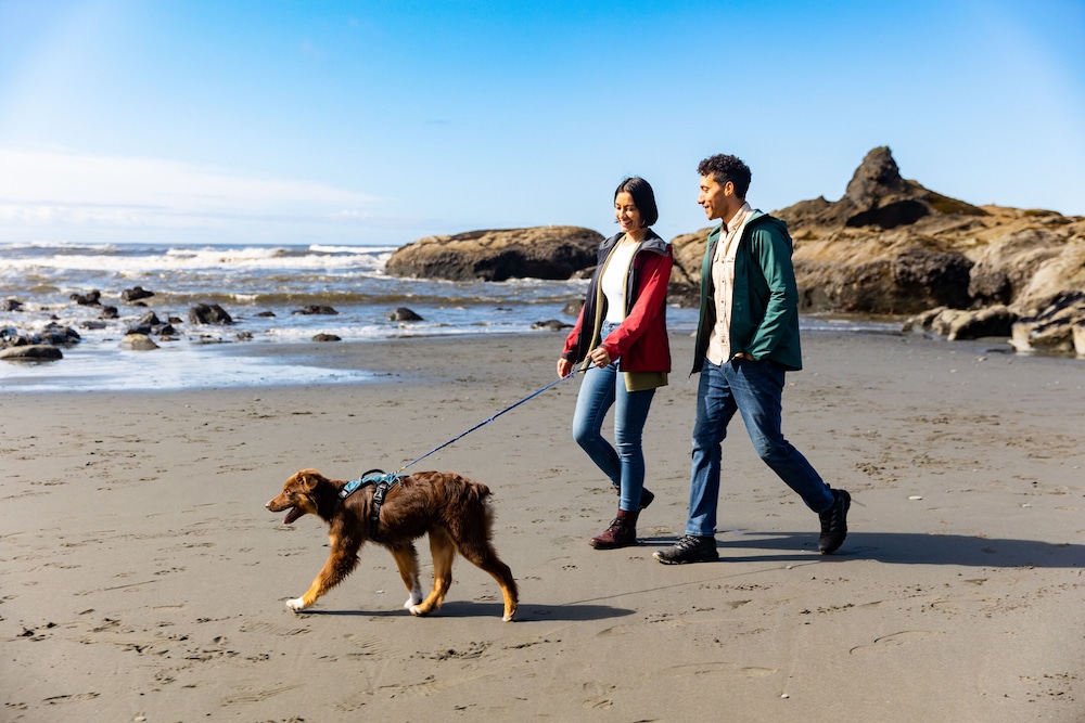 Kalaloch Lodge, Foto 53