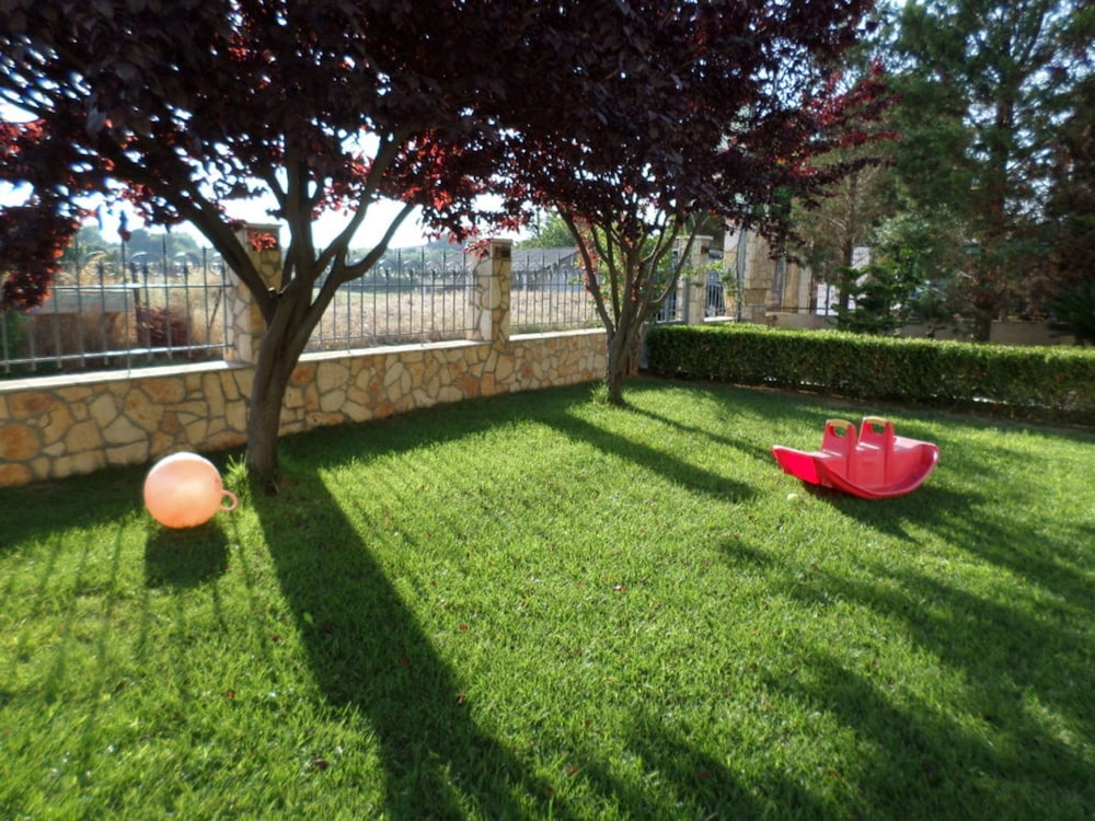 Photo 7