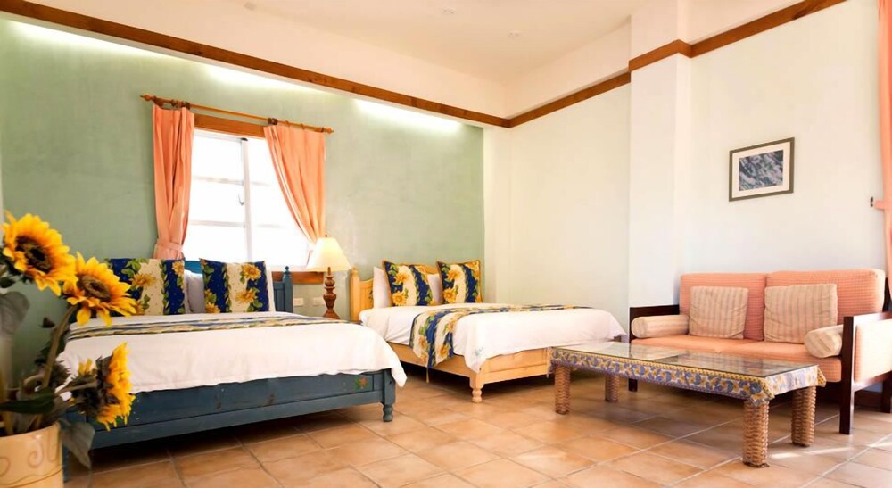 Avignon B&B
