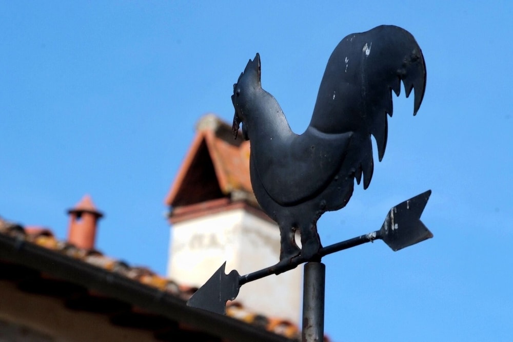 Il Pino Bioagricoltura
