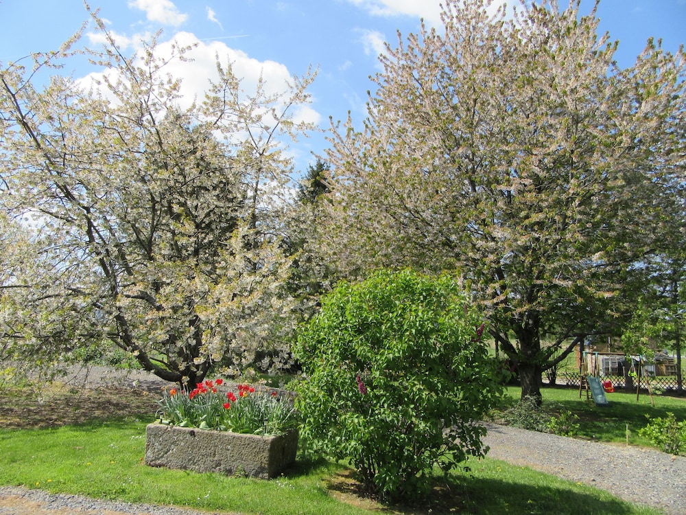 Le Petit Clos, photo 3