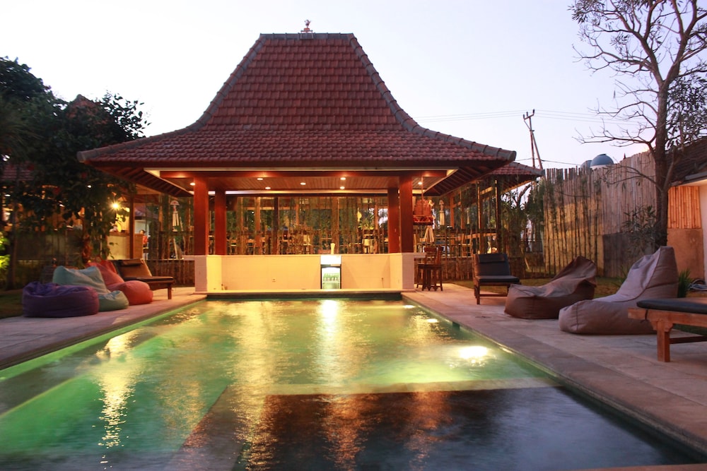 Premier Surf Camp