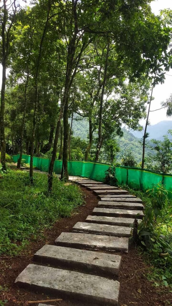 Infinity Viewpoint Homestay