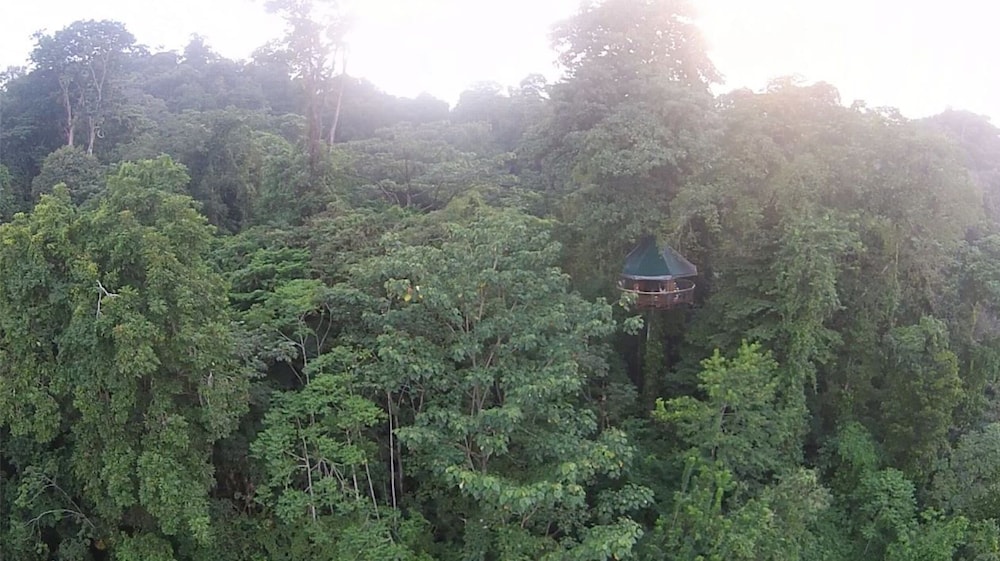 Nature Observatorio Amazing Treehouse