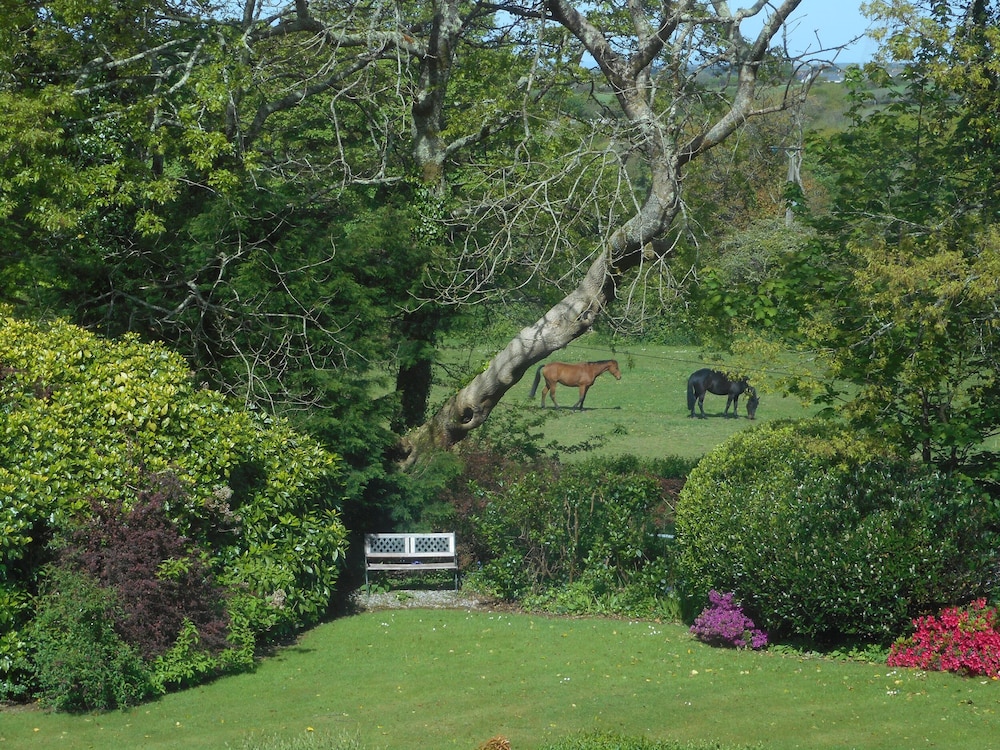 Trevow, photo 30