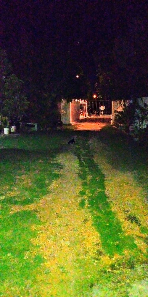 Photo 41