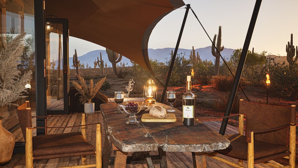 SaguaroGlamp