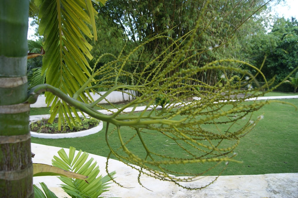 Photo 45