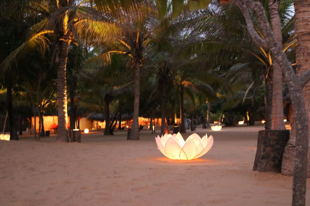 Dolphin Beach Kalpitiya