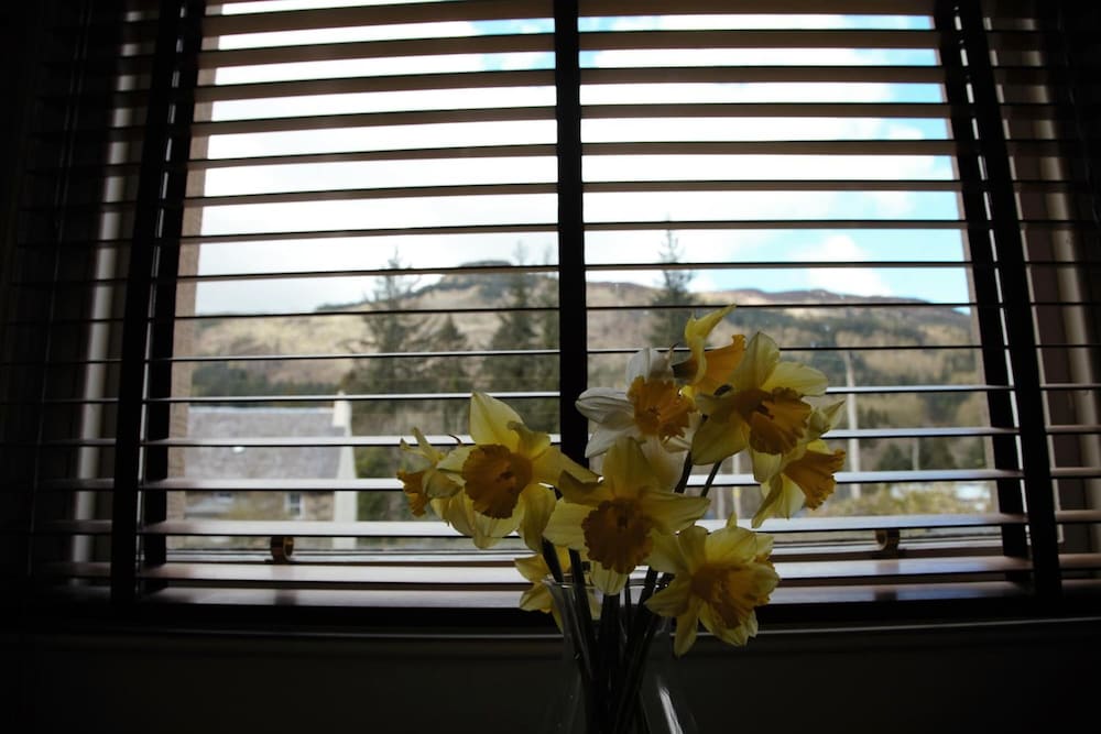 Airlie House Self-Catering