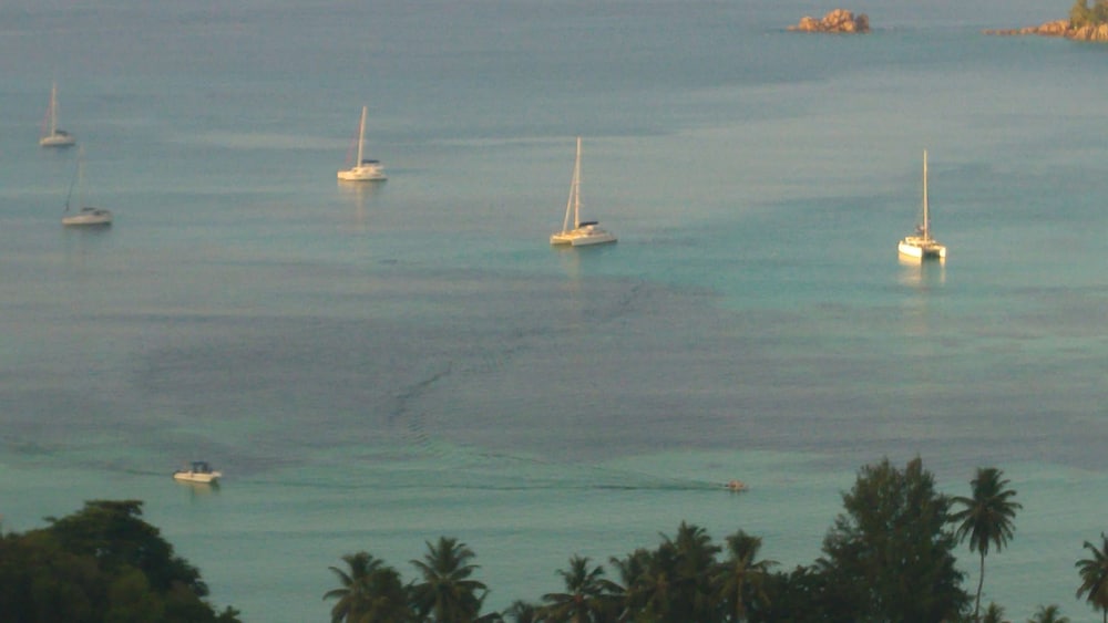 Mango Lodge