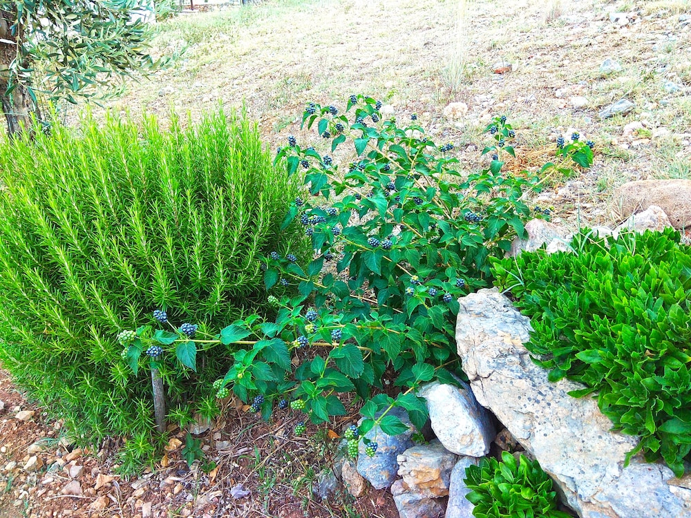 Photo 17