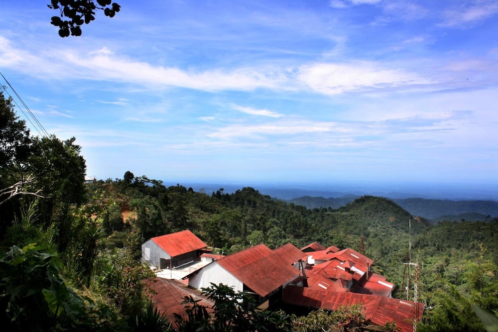 Finca Hamburgo