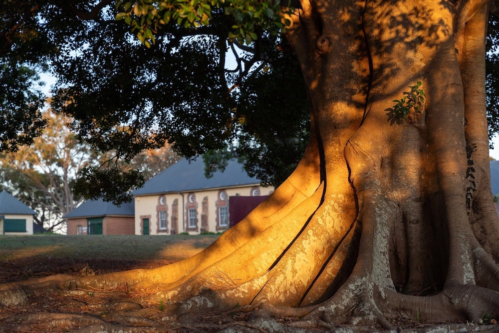 Coolangatta Estate