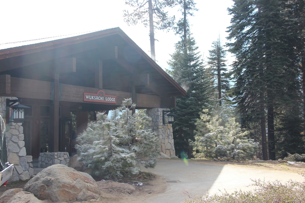 Wuksachi Lodge - Property Image 2