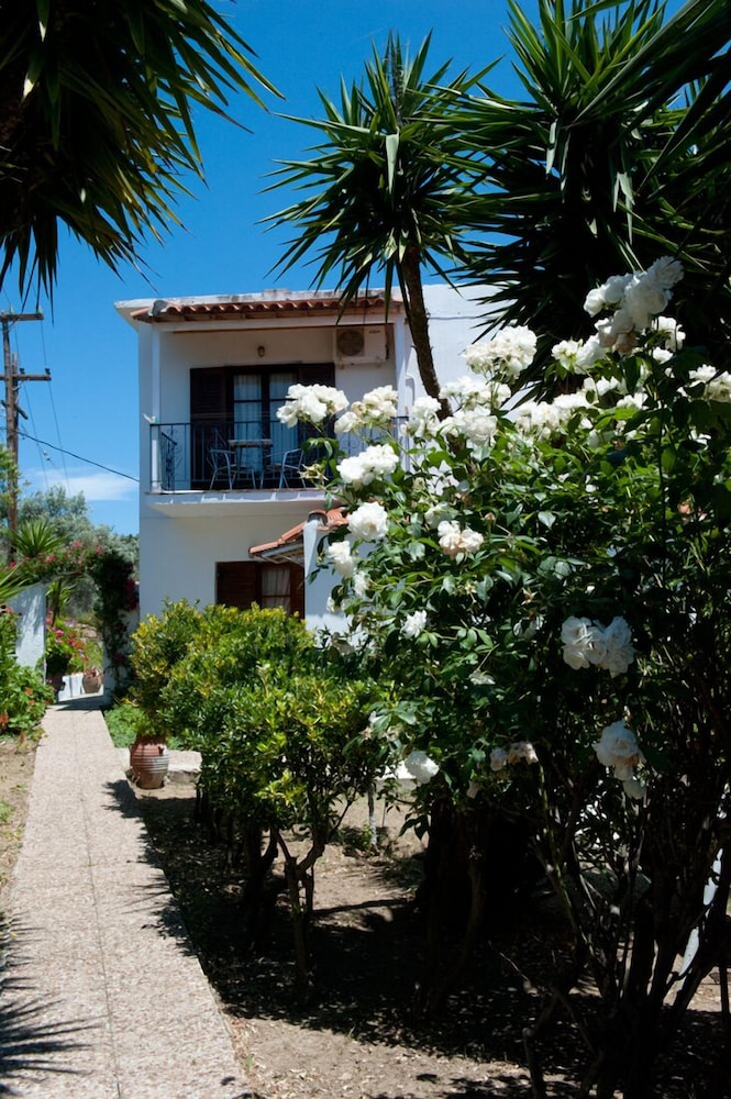 Camelia Studios