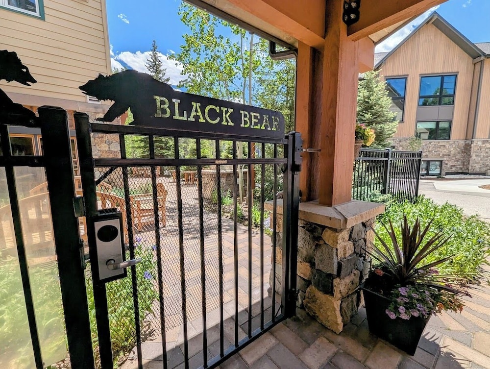 Black Bear 8040