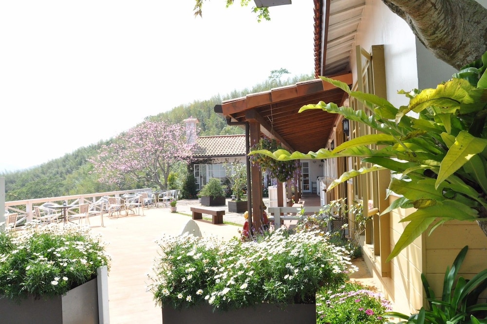 Alishan Tea Garden