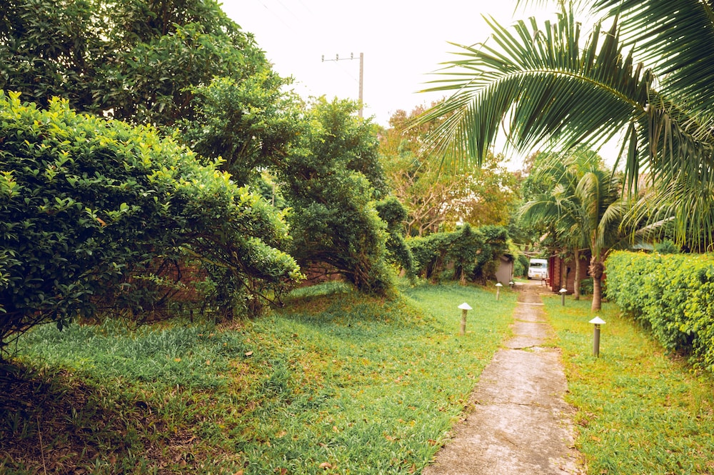 Photo 31