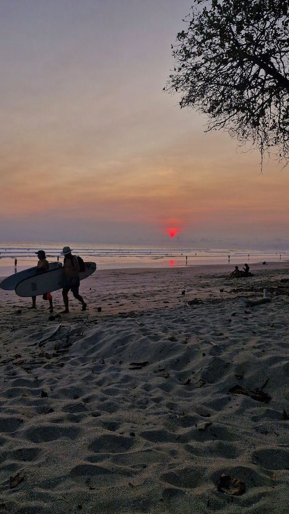 Habitat Surf Glamp