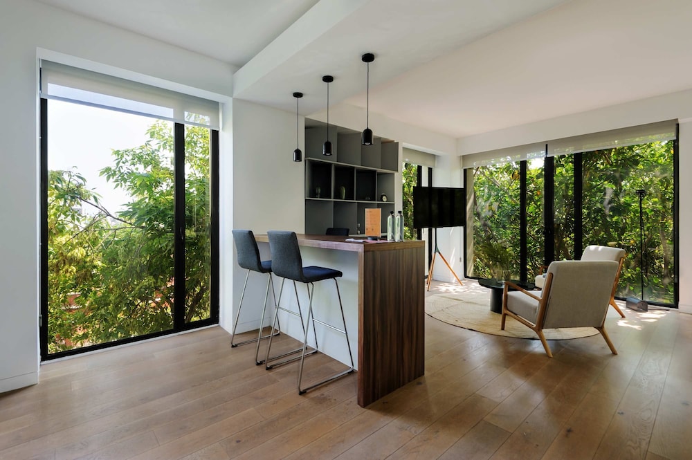 Stunning Loft in Roma Norte photo 2