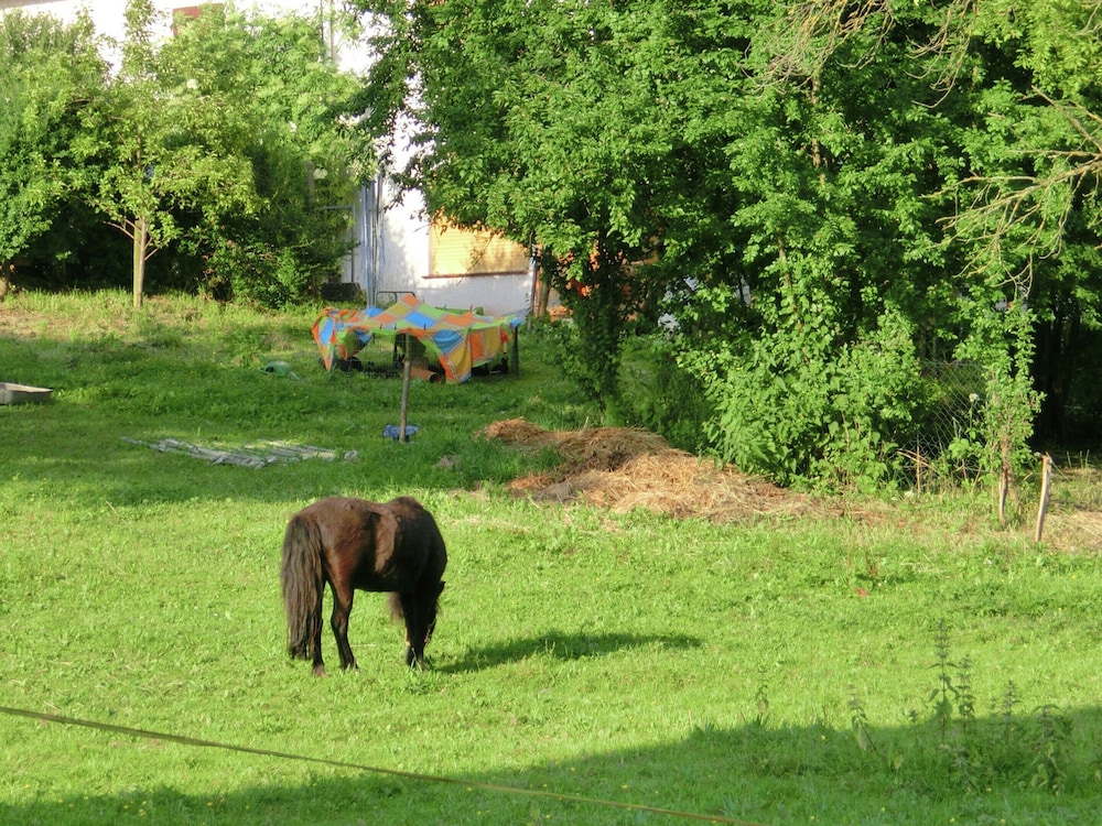 Familienfreundlicher Urlaub im Landhaus Obergude