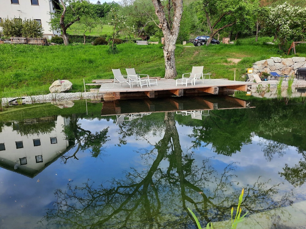 Loft-like Apartment With Swimming Pond