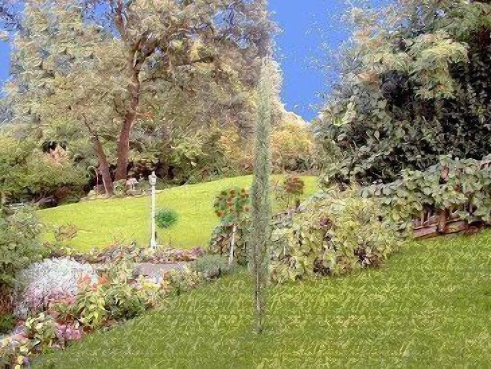 Robins Nest Bed & Breakfast