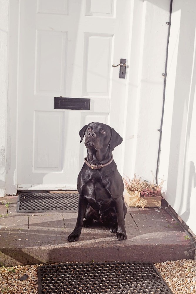 Broncoed Uchaf Country Guest House