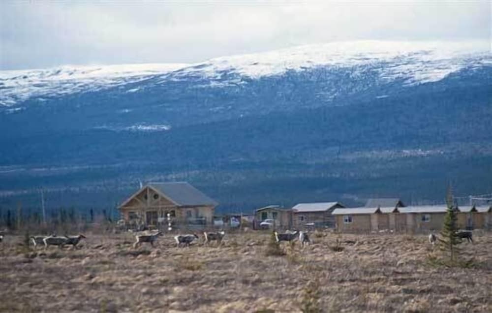 Earthsong Lodge