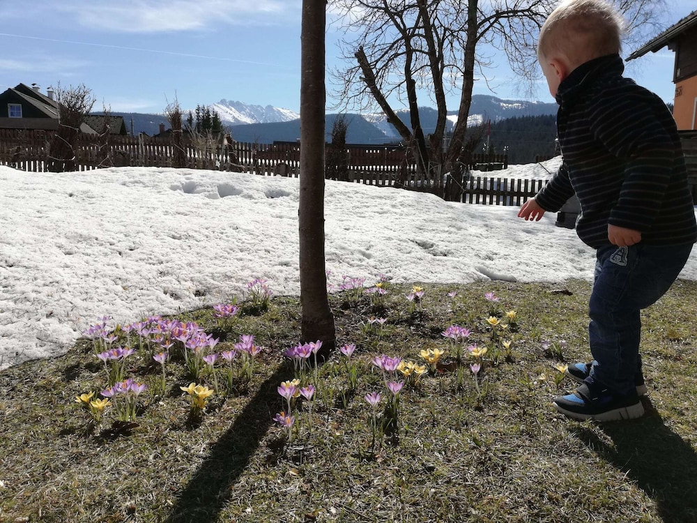 Alpine Family Retreat in Bad Mitterndorf