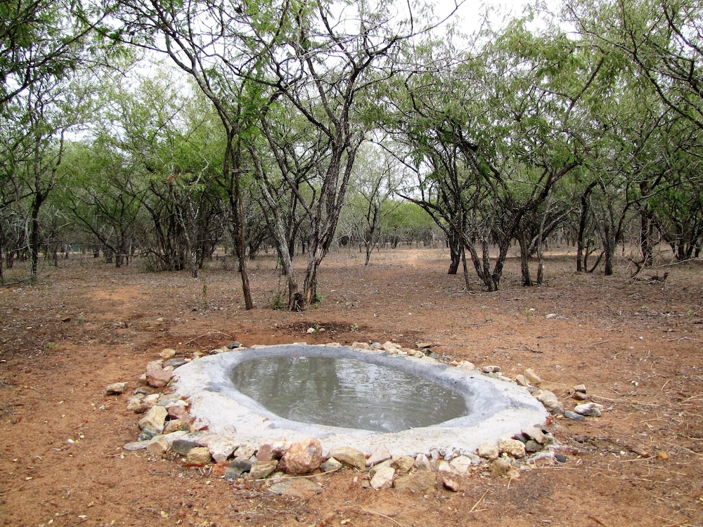 Photo 41