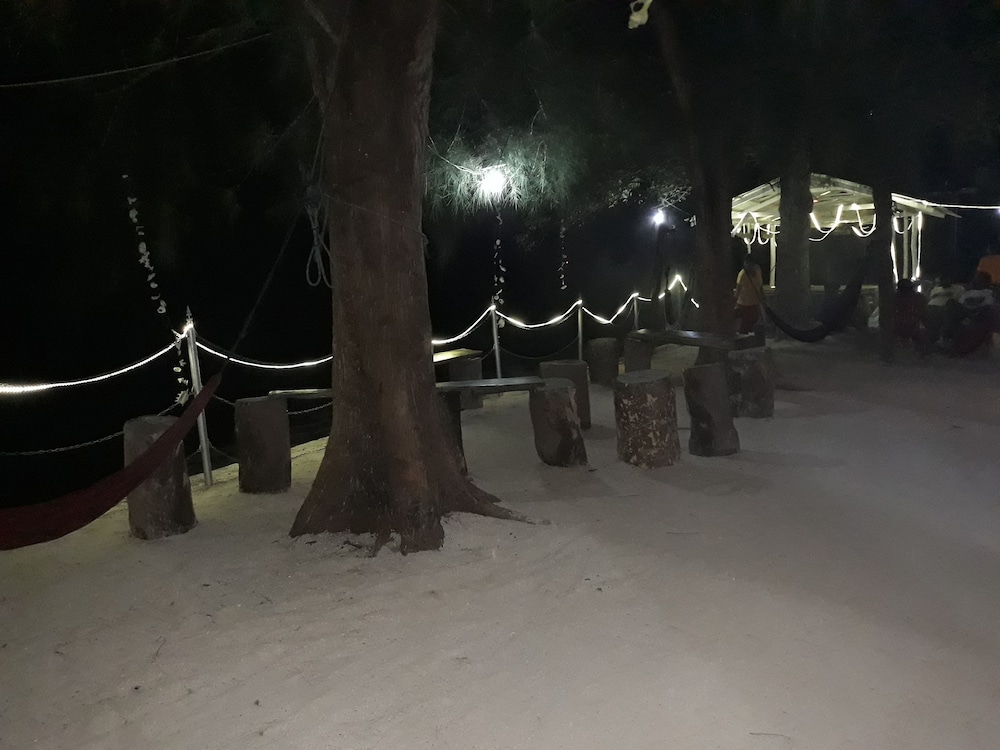 Moonlit Sands