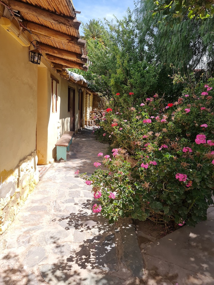 Andino Hostel