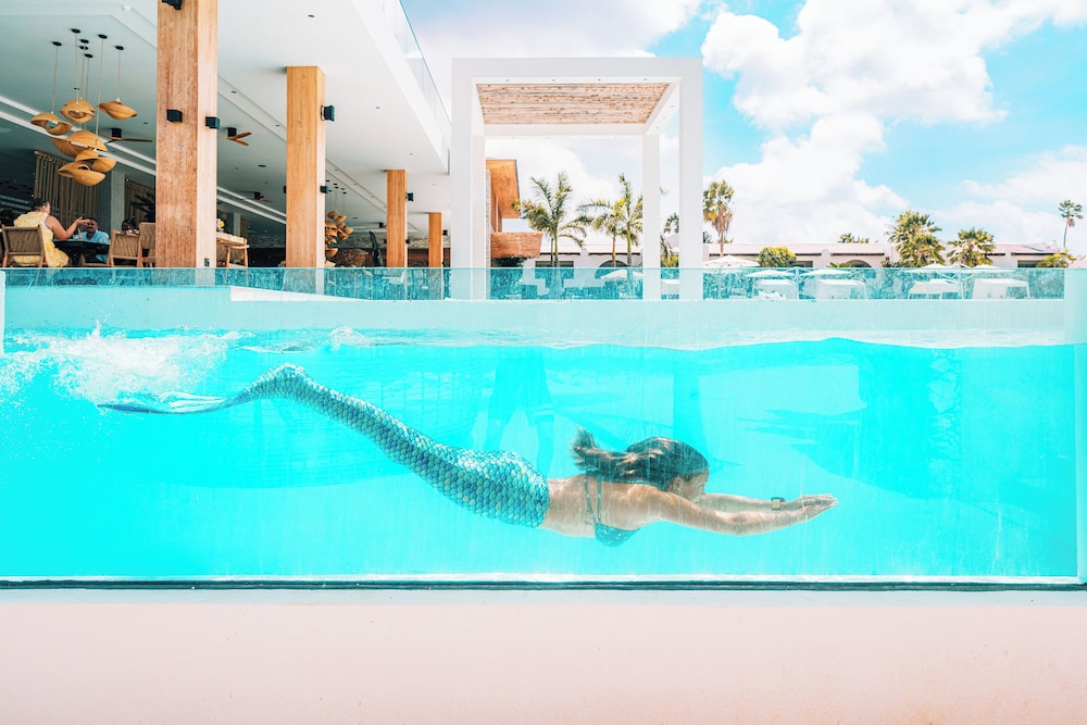 Van der Valk Plaza Beach & Dive Resort Bonaire - All Inclusive - Photo 61